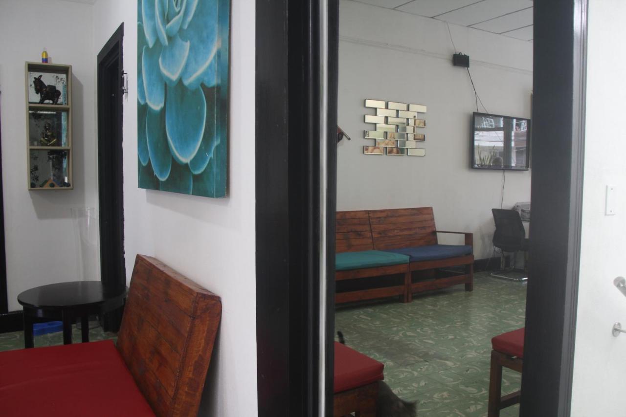 Eden'S Garden Hostel 파나마시티 외부 사진