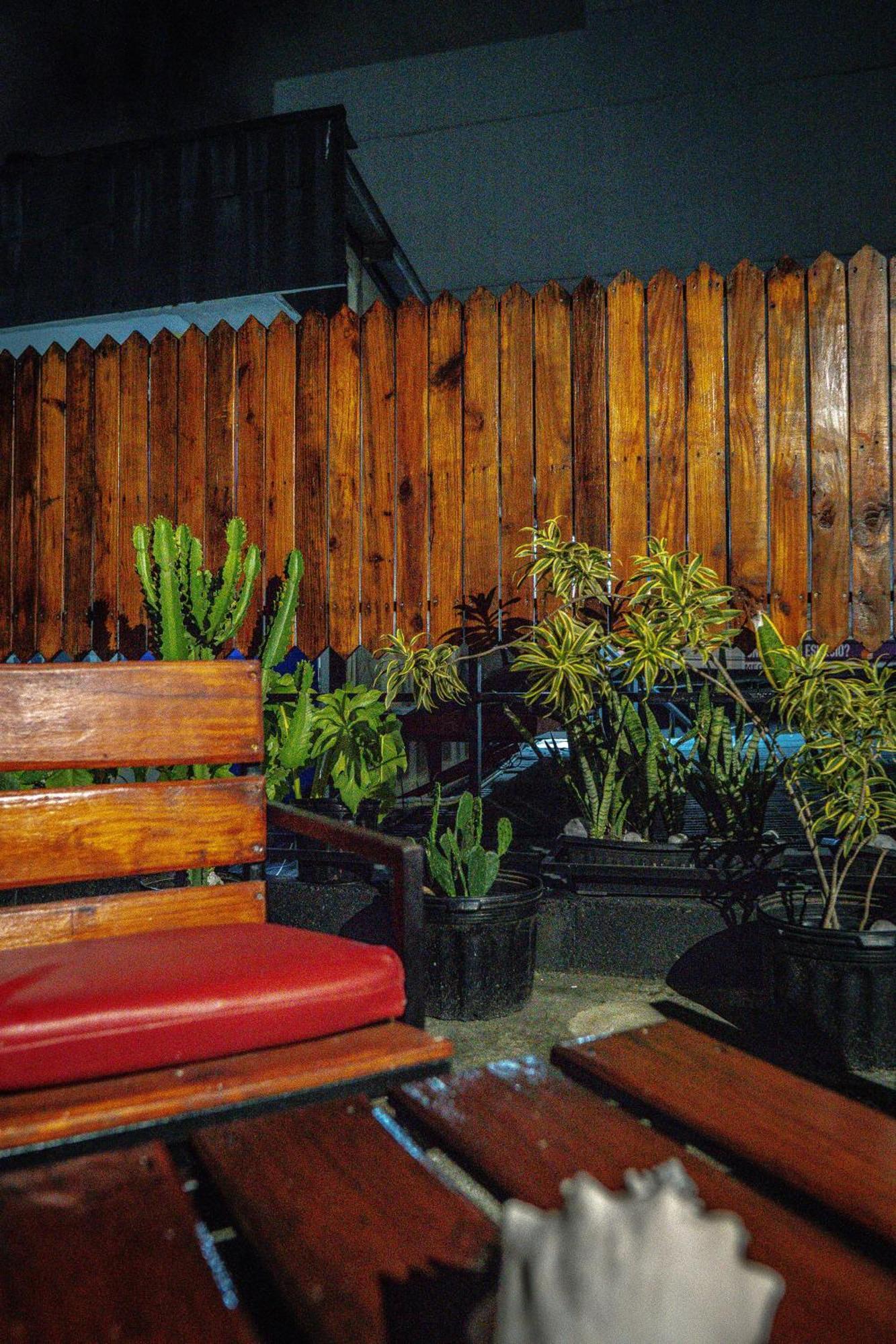Eden'S Garden Hostel 파나마시티 외부 사진
